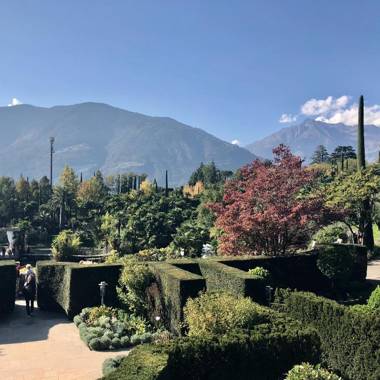 City Apartments Portico