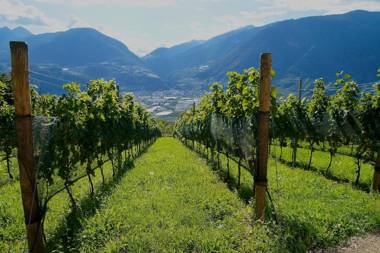 Romantik Chalet Eichenstein im Weinberg