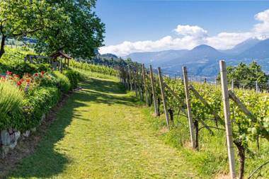 Ferienwohnung Barrique