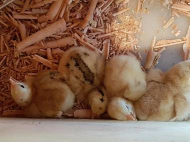 Agriturismo La Vecchia Chioderia