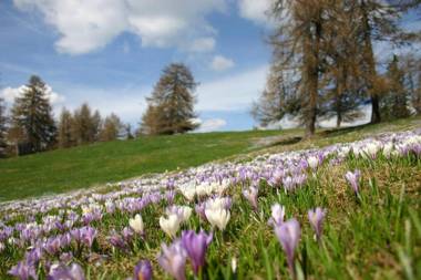Panoramapension Etschblick