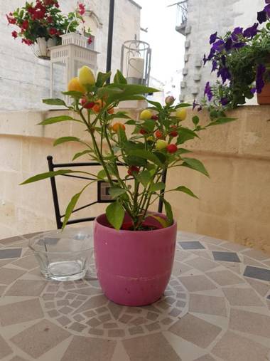 La Bomboniera Holiday Home