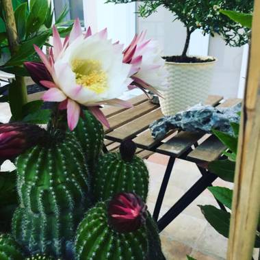 Recinto Antico Sweet Rooms