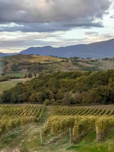 Tenuta Grimaldi Wine Resort