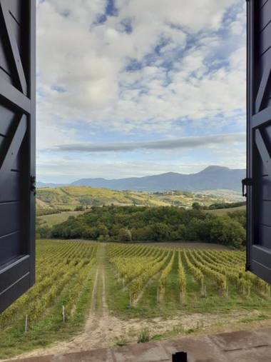 Tenuta Grimaldi Wine Resort