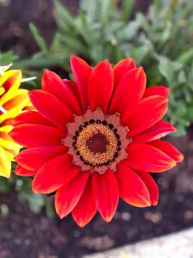 Masseria Madonna dell'Arco Agriturismo