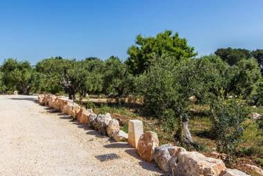  farm among olive trees w/ pool in Itria Valley