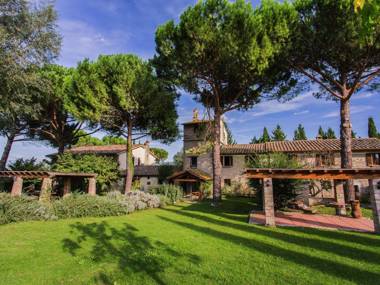 Agriturismo with swimming pool in the hills between vineyards olive groves and forests