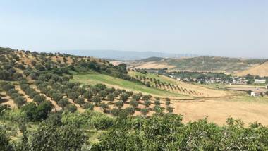 Don Giacchì Country House