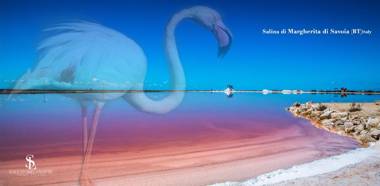 La Perla delle Saline