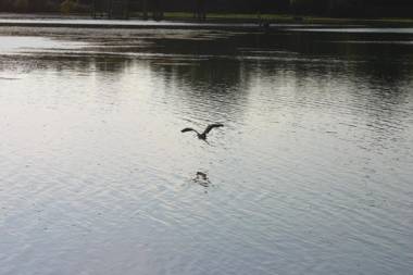 Hotel Italia City Center