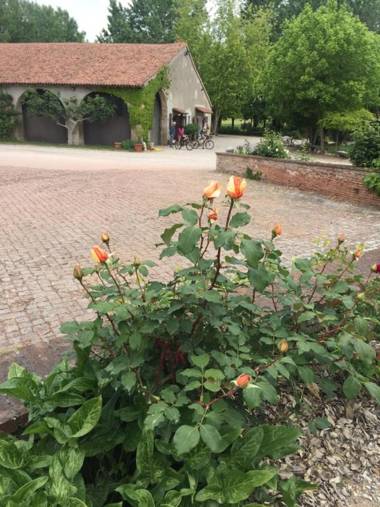 Agriturismo Corte San Girolamo