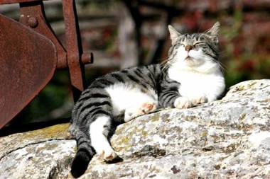 Agriturismo Bio Le Macchie Alte