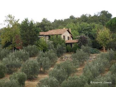 Agriturismo Podere 3 Querce