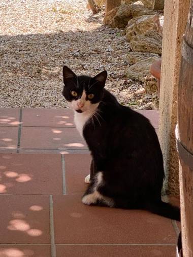 B&B 8380 - Pian Del Molino