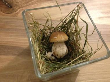 Hotel Bella di Bosco