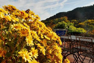 Agriturismo Giandriale