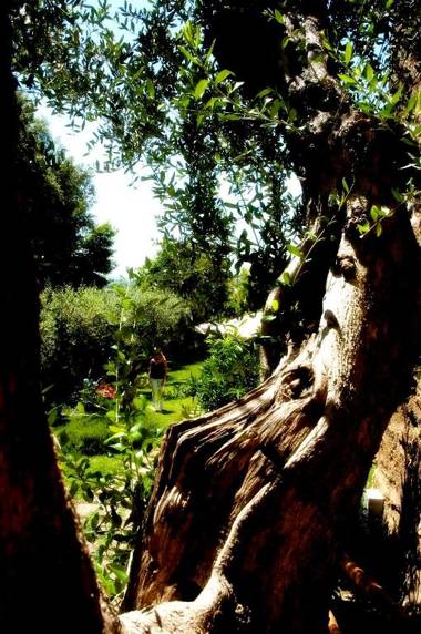 Locanda Delle Mura Anna De Croy