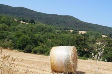 Agriturismo Bonzalone