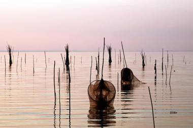 Appartamenti La Rosetta