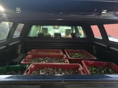 Il Sodino 1738 - Locazione Turistica