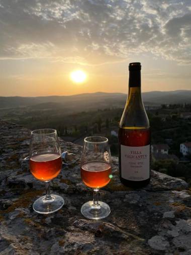 Residenza d'Epoca Il Cassero