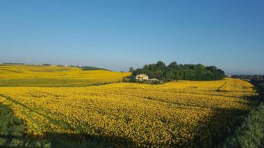 B&B Isa and Apartments