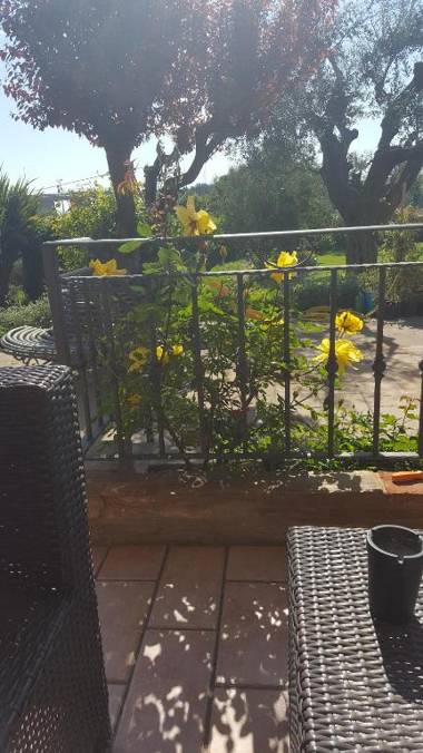 B&B Isa and Apartments