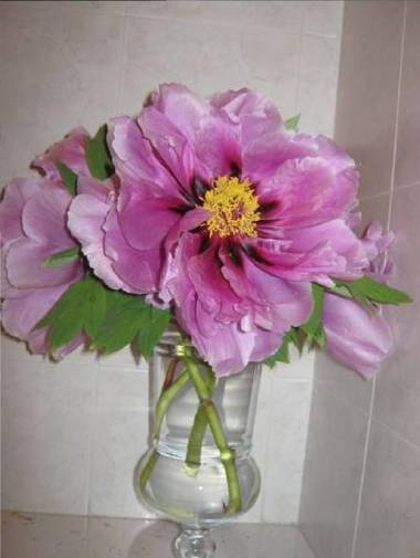 B&B Ristorante del Monte