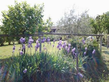 Agriturismo B&B Cascina Reciago