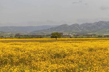 The Old Farm Asfodeli - Adults Only