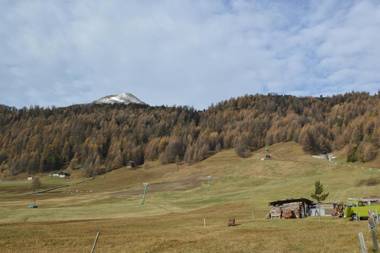 Fior d'Alpe Apartment