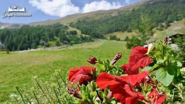Baita Epi Cusini Vicinissimo alle piste da sci ed al campo da golf
