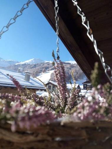 Charme Apartment DG Stella Alpina