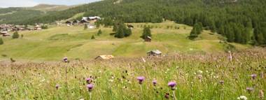 Zenith - Casa Azzurra Mansarda