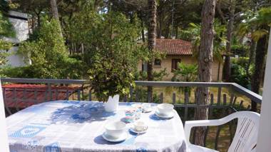 Beautiful three-room apartment on the first floor of a villa with garden