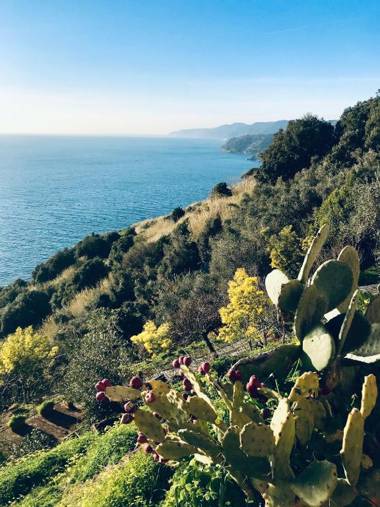 Affittacamere Crêuza de mä