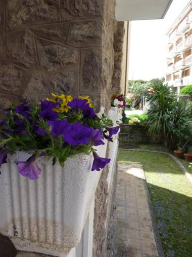 Flamingo & Cactus by the Sea