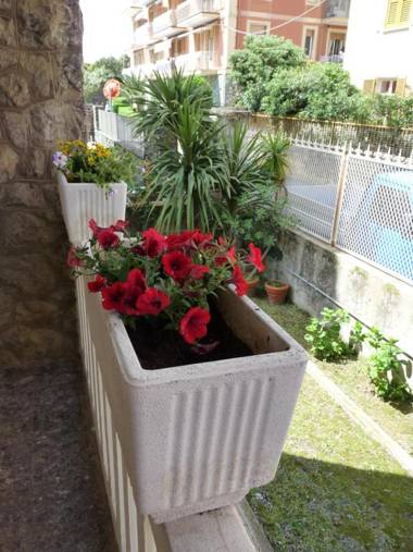 Flamingo & Cactus by the Sea