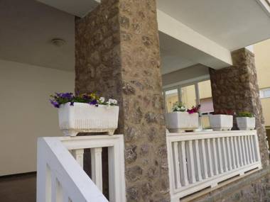 Flamingo & Cactus by the Sea