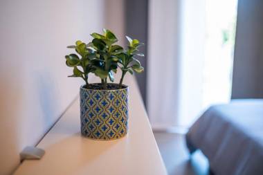 Grey House Bed & Breakfast