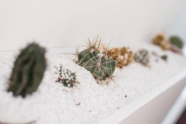 Affittacamere My Home