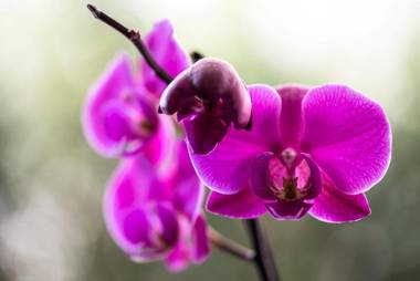 Hotel Residence Martha