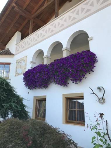 Ferienwohnungen Günzelgut