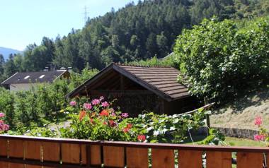 Apartment Ida - Obermösslhof