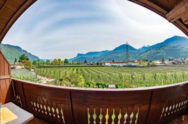 Kammerhof Apartment Traube