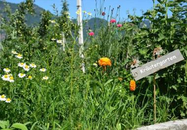 Apartment Gantkofel Leilichhof