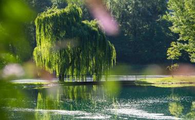 Weinsepphof Ferienwohnung 9