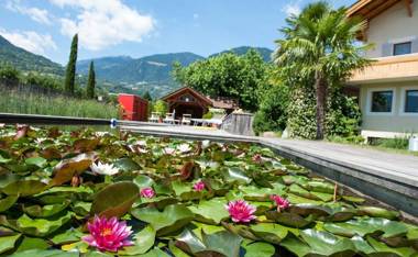 Weinsepphof Ferienwohnung 2