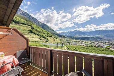 Baumgartnerhof Appartment Holunder